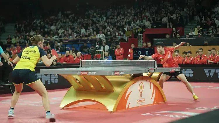 开云体育入口-中国队碾压瑞典队，林高远关键制胜