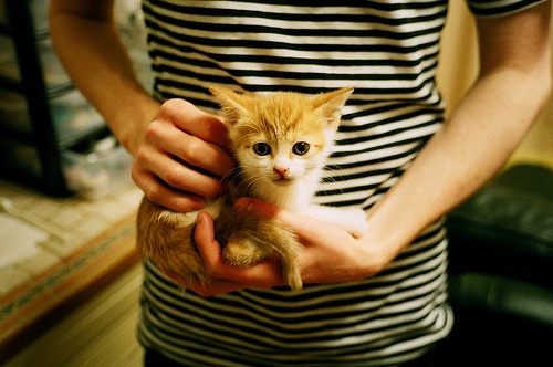 开云体育官网-次元壁破裂之夜，当新疆队遇见火箭，詹姆斯如何编织神话