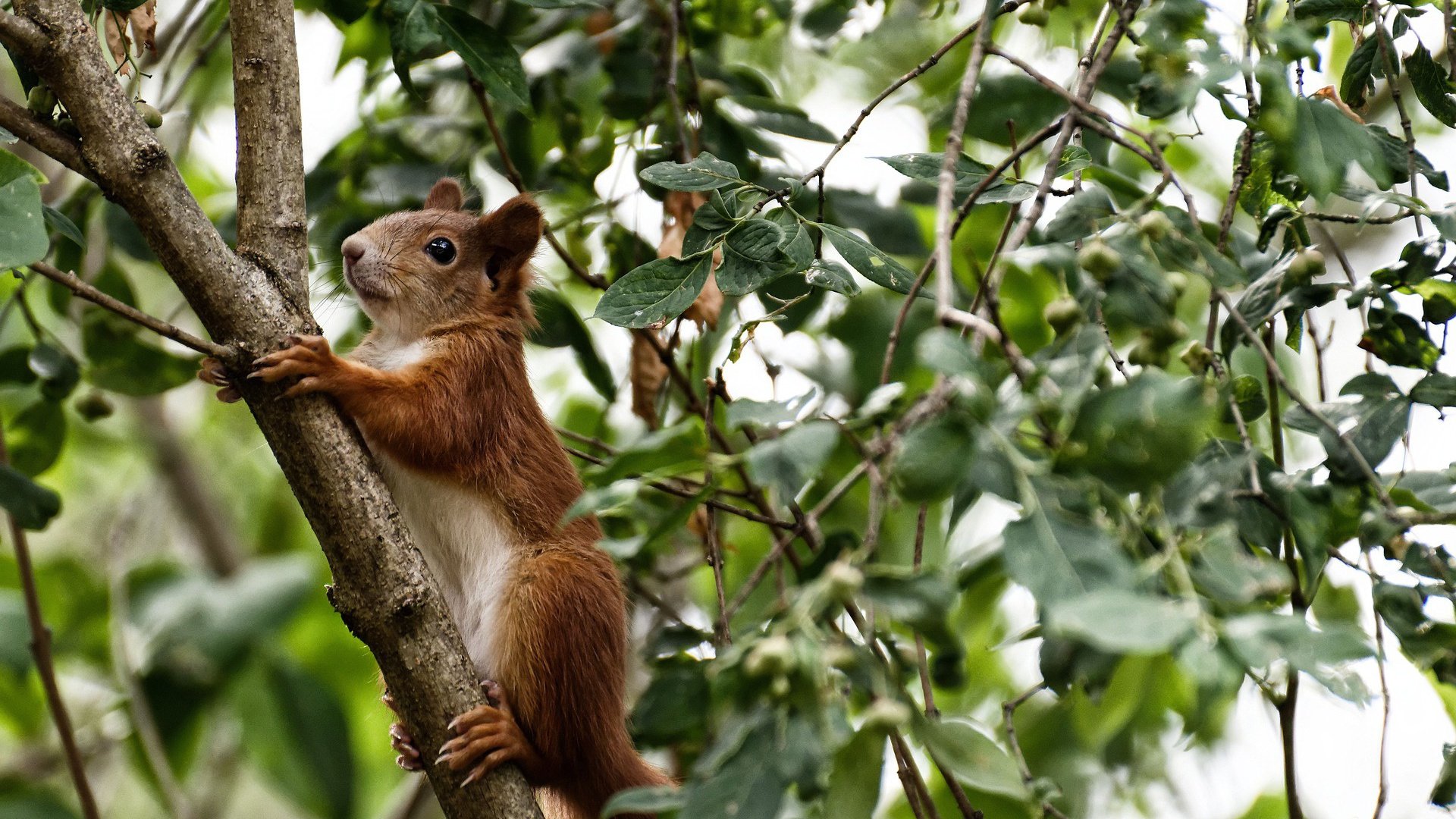 开云体育中国-王的盛宴，布克单骑斩龙，太阳主场升王旗