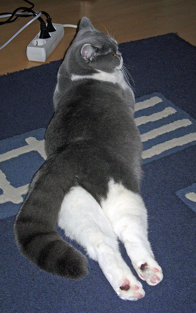 唯一性的两种诠释,从沙漠绝杀到季后赛神迹