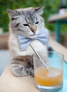 开云体育在线-被低估的冷峻大脑，西决生死战之夜，哈利伯顿如何用非典型方式成为胜负手