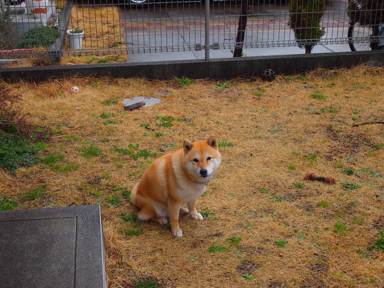 勇士晋级夜，拉文，从累赘到关键先生的逆袭