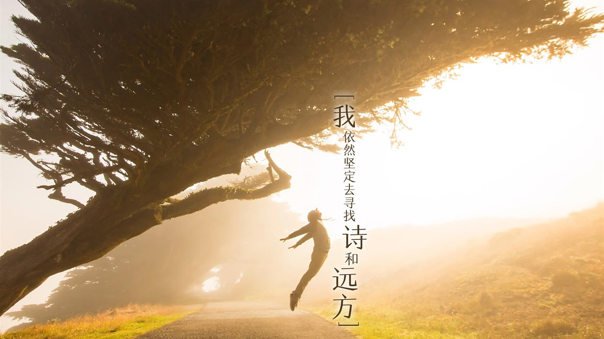 同频燃烧，年度争冠的终极淬火