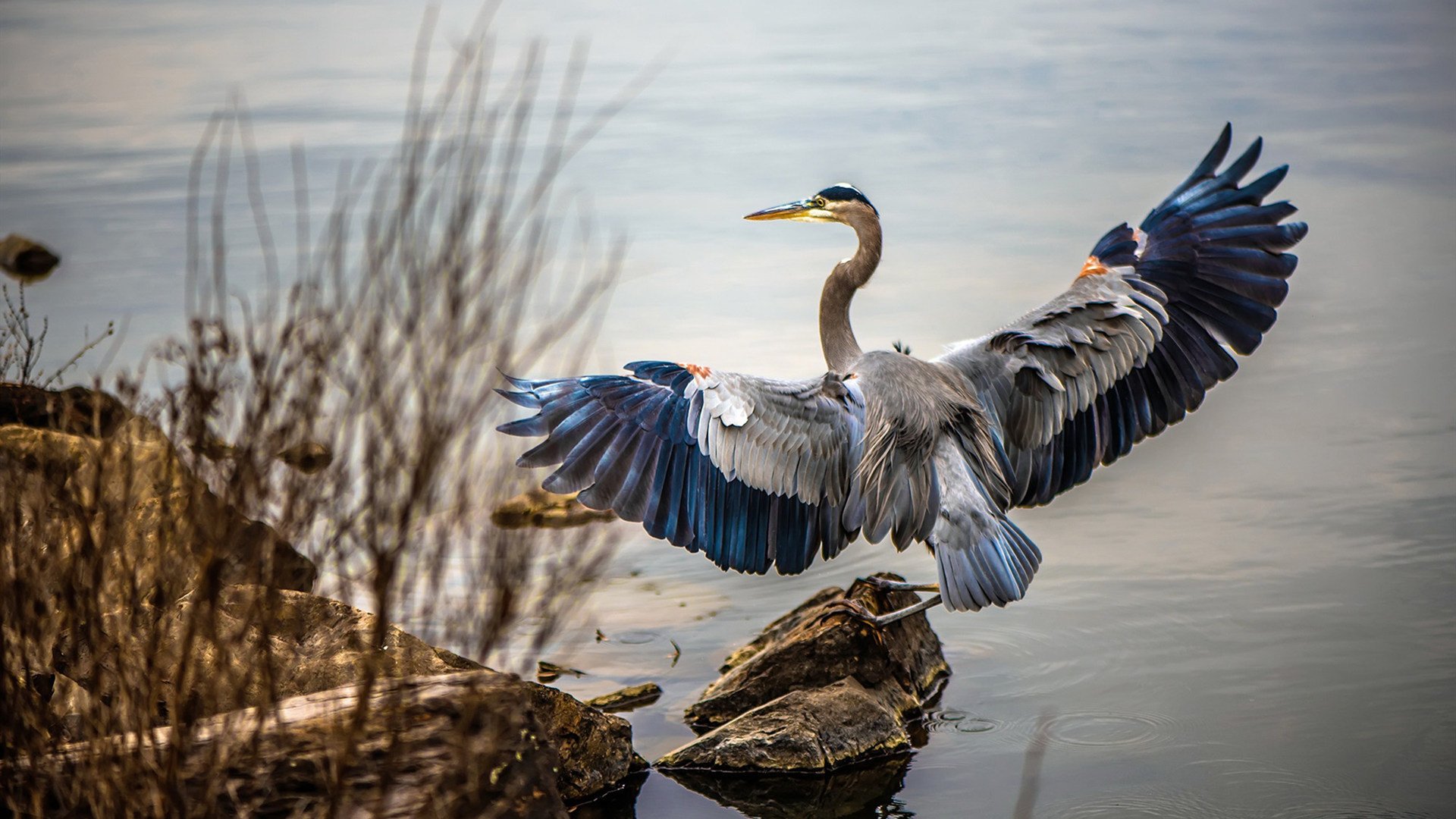 开云体育平台APP-天山脚下终圆梦，决战紫金之巅—新疆队史诗逆转问鼎NBA总冠军