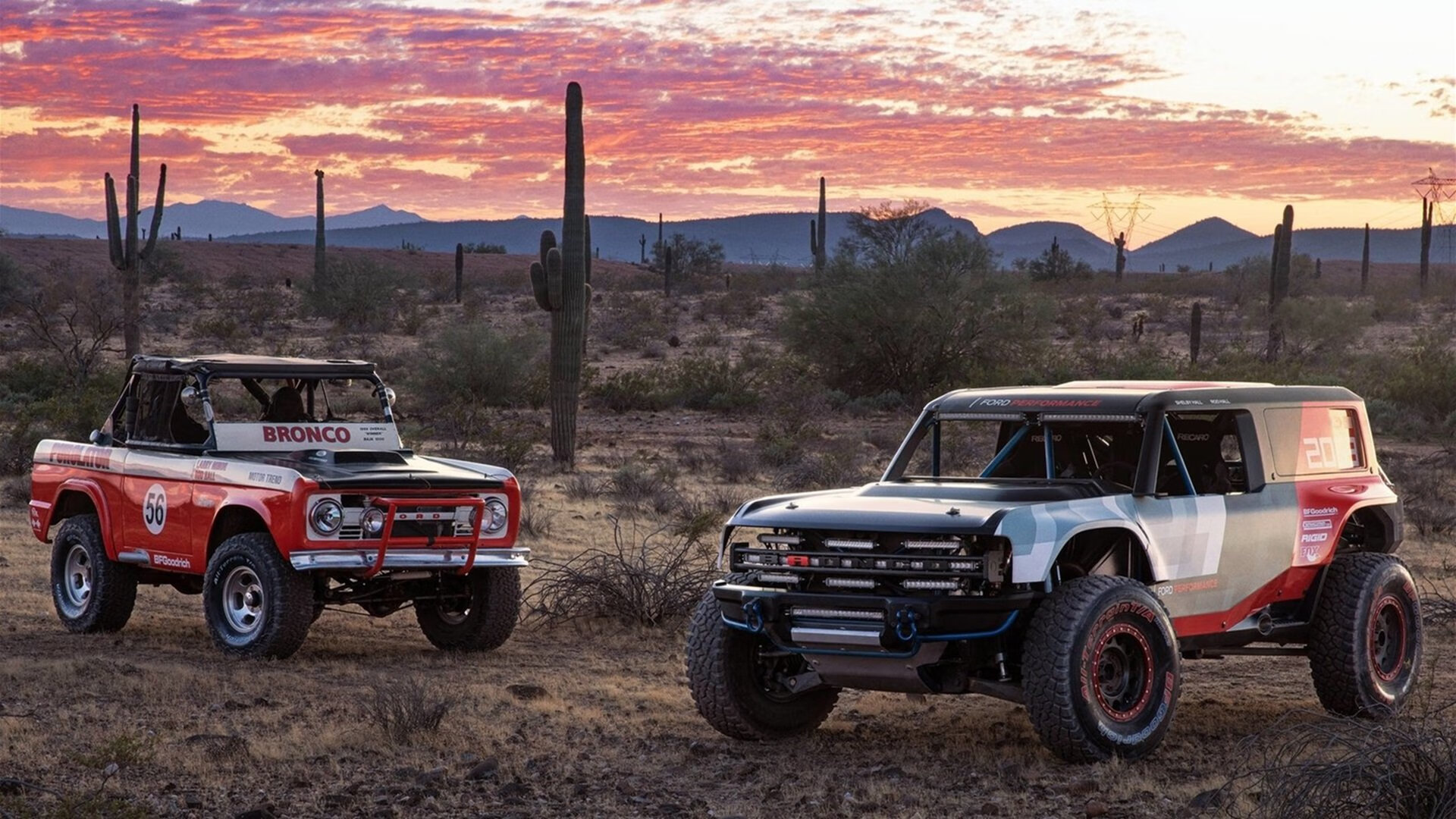 开云体育登录-历史的岔路，当关键先生福克斯，在掘金与热火的战场上投出国王的子弹