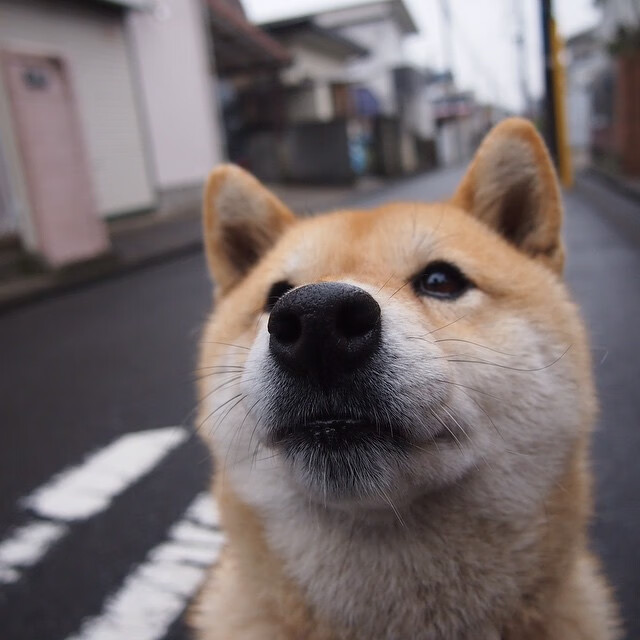 开云体育app-绿茵教科书，当孔德的标准答案击穿喀麦隆的野性天赋