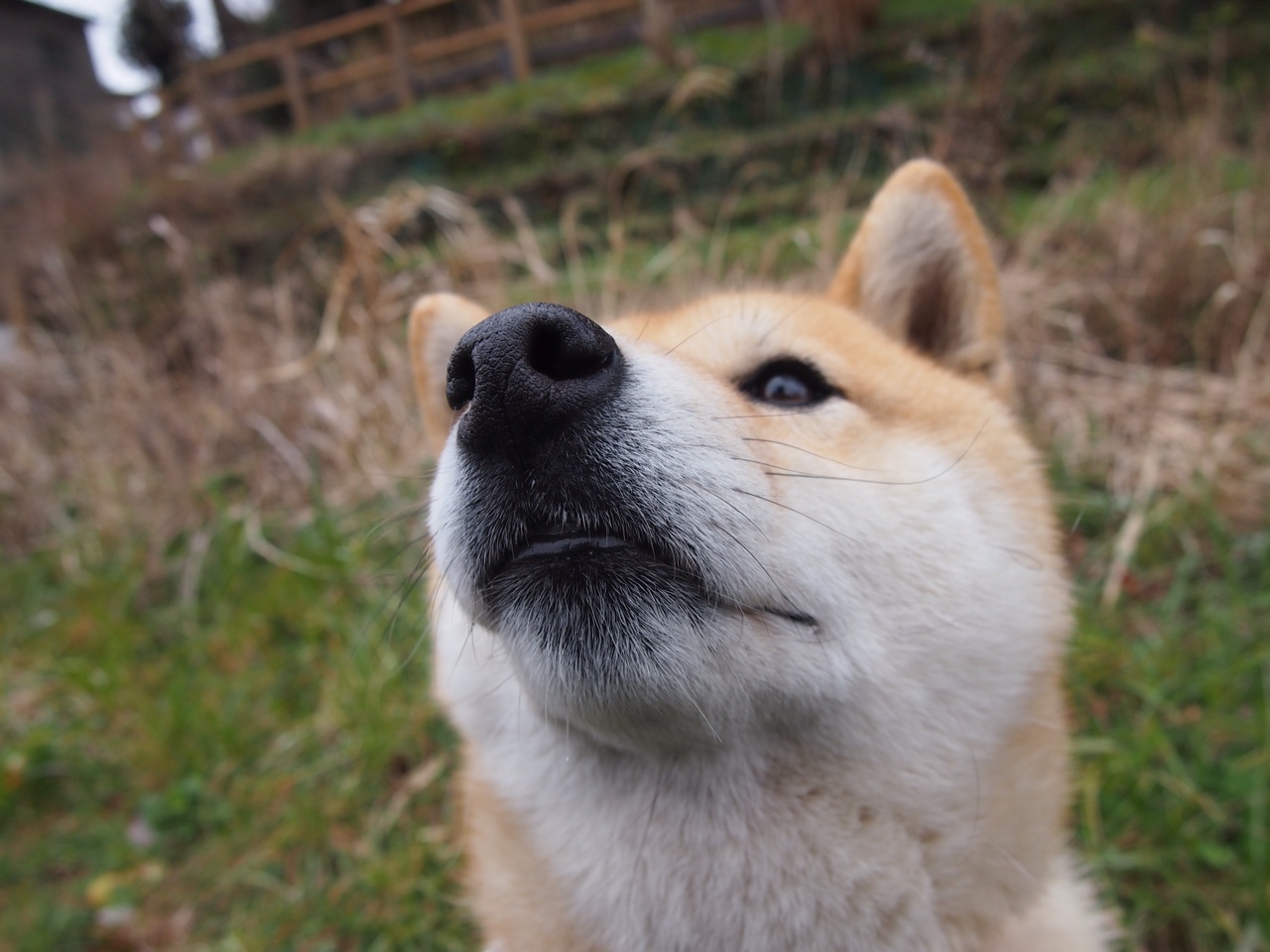 悬崖边的铁卫咆哮，斯通斯一锤定音，英格兰惊魂险胜厄瓜多尔